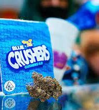 Weed Strain