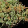 Blue Dream