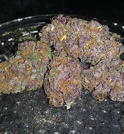 Blueberry Weed Strain