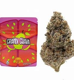 GRANDI GUAVA STRAIN