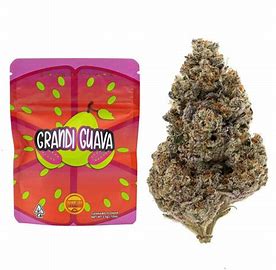 GRANDI GUAVA STRAIN