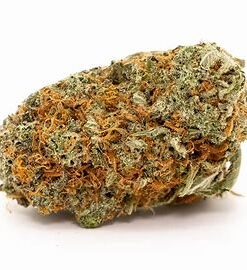 Girl scout cookies