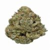 Gorilla glue