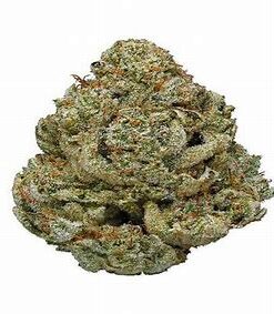 Gorilla glue