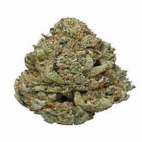 Gorilla glue