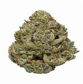 Gorilla-glue Gorilla glue
