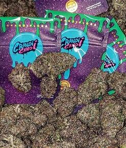 Grandi Candi Strain