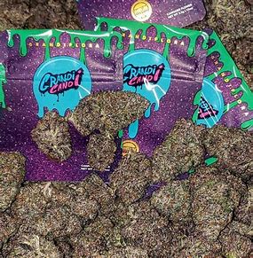 Grandi-Candi-Strain Grandi Candi Strain