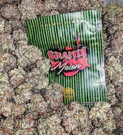 Grandi Melon Strain