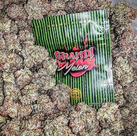 Grandi Melon Strain