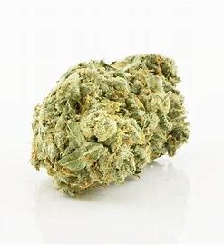 Jack Herer