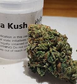 Khalifa kush
