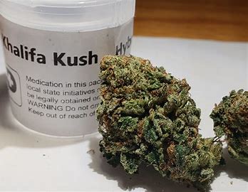 Khalifa-kush Khalifa kush