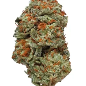 LA Confidential