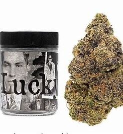 Lucky Strain | Backpackboyz