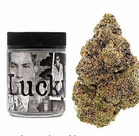 Lucky Strain | Backpackboyz
