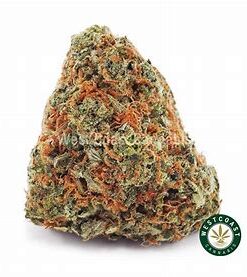 Mango haze