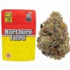 Northern Fiore Strain