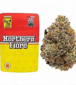 Northern Fiore Strain