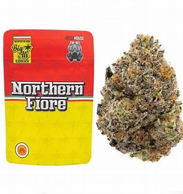 Northern Fiore Strain