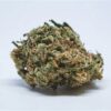 Northern light Strain