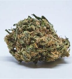 Northern light Strain