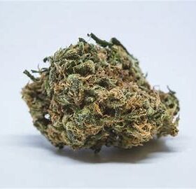 Northern light Strain