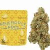 Pineapple Piss Strain
