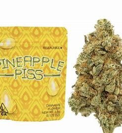 Pineapple Piss Strain