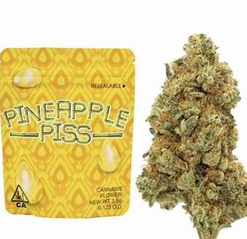 Pineapple Piss Strain