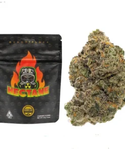 Hectane Strain