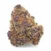 Purple Kush