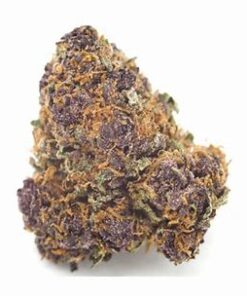 Purple Kush