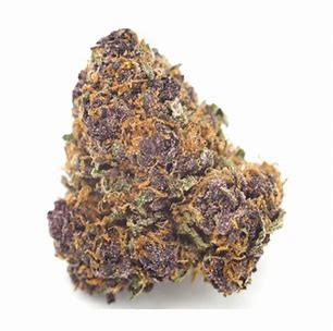 Purple-Kush Purple Kush