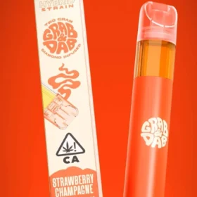 STRAWBERRY CHAMPAGNE