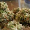 Strawberry Cough weed