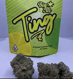 Ting Strain Big Al’s Exotics