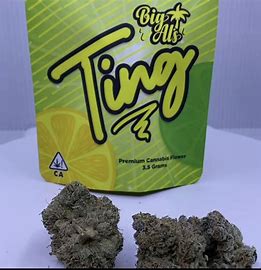Ting Strain Big Al’s Exotics