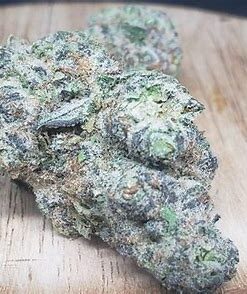 White Runtz Strain
