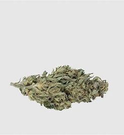 White Widow