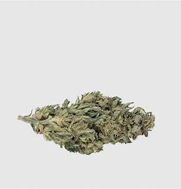 White Widow