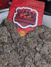 Wild Thornberry Strain